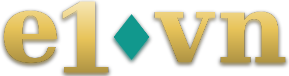 e10vn logo